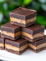Delicious chocolate peanut butter fudge squares photo