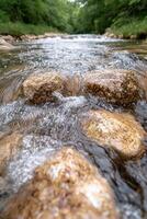 flowing stream through lush forest photo