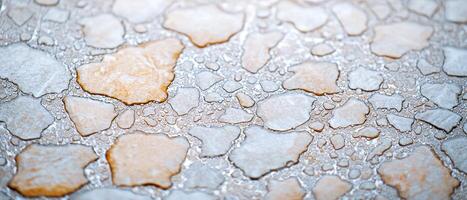 Cracked Mud Texture with Water Droplets photo