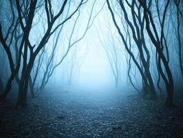 Mysterious forest path in the fog photo