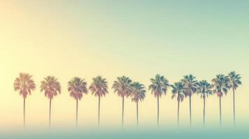Infinite horizon of blurred palms, peaceful and calming tropical scene. Blurred view sandy beach palms photo