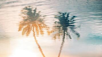 Soft light and shadow patterns in beach water, blurred and tranquil scene. Blurred view sandy beach palms photo