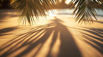 Sharp palm shadows on sand with blurred trees, bold and striking contrast. Blurred view sandy beach palms photo