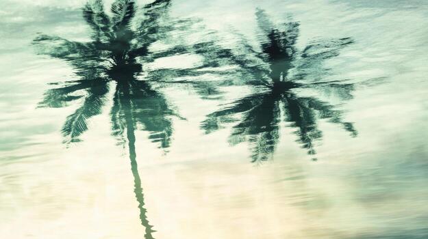 Rippling palm reflections in shallow beach water, abstract and calming. Blurred view sandy beach palms photo