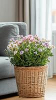 Wicker basket with colorful blooms, vibrant accent for modern living room. Wicker basket near grey sofa in living room photo
