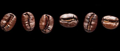 A row of coffee beans on a black background. photo
