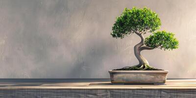 Bonsai tree in a rectangular pot sits on a wooden table with a plain background, photo