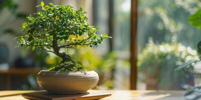 Bonsai tree grows in a rounded pot, displayed on a wooden stand in an indoor setting, picture photo