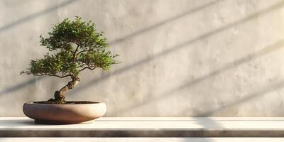 Bonsai tree stands in an oval pot, resting on a table in front of a plain wall, photography photo