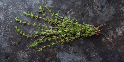 Bundle of fresh thyme sprigs, spread out on a dark, textured background, photographed from above, picture photo