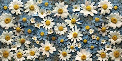 Pressed daisies and forget-me-nots arranged in a symmetrical pattern, photography photo