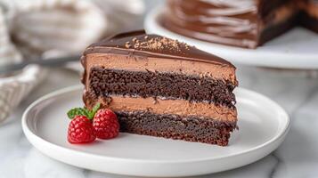 Dairy-free chocolate cake slice on a white plate topped with chocolate ganache and a fresh raspberry, photo
