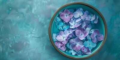 Hydrangea blossom in a bowl of turquoise dye, coloring intensifies, photo