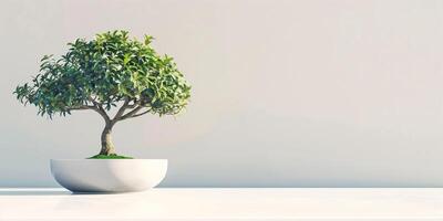 Potted bonsai tree is positioned on a flat surface with a plain white background behind it, picture photo