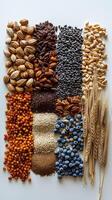 Vertical bar chart with different kinds of grains, clear square columns edge, on a white background, photorealistic photo
