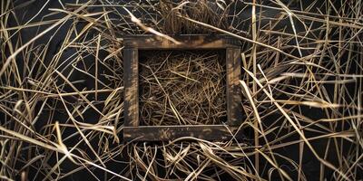 Angular arrangement of dried grasses and twigs forming geometric patterns within a square frame, photo