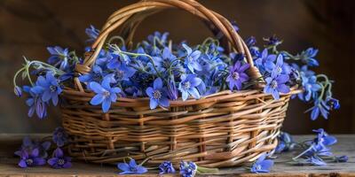 Clusters of blue borage flowers in a handmade wicker basket, photography photo