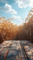 Focus on table in front of wheat field, terragen, innovative, sparse background, photo