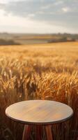 Focus on table in front of wheat field, terragen, innovative, sparse background, picture photo