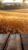 Focus on table in front of wheat field, terragen, innovative, sparse background, photorealistic photo