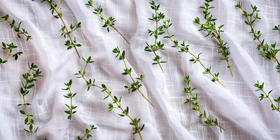 Sprigs of thyme laid out in a geometric pattern on white fabric, photo