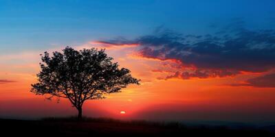 Silhouette of lone tree against spectacular sunset backdrop, picture photo