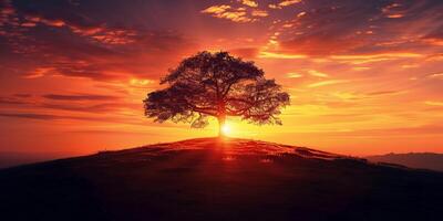 Silhouette of lone tree against spectacular sunset backdrop, photography photo