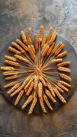 Wheat spikelets arranged in a circular pattern on a tabletop, photo