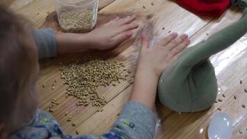 Directly above toddler hands touch and spread wheat grains on wooden surface. Child plays with cereal seeds to increase sensory motor skills. Crafting with natural materials video