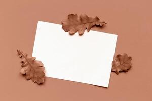 Sheet of paper and autumn oak leaves on Mocha brown background photo