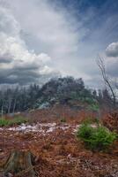 Zschirnstein with snow-covered trees and dramatic clouds with rays of sunshine. photo