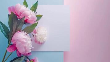 Flowers on a pink and blue background photo