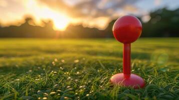 A red ball on a green grass field photo