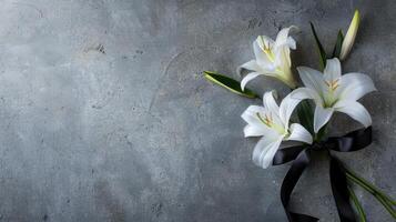 White lilies on a black ribbon on a gray background photo