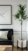 A black leather couch and a plant in a white pot photo