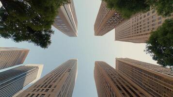 Tall buildings with tall windows photo