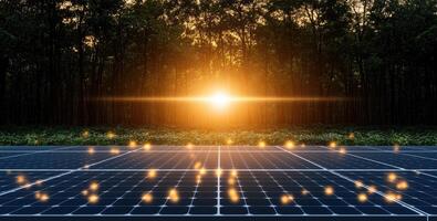 Solar panels in the forest with the sun shining photo