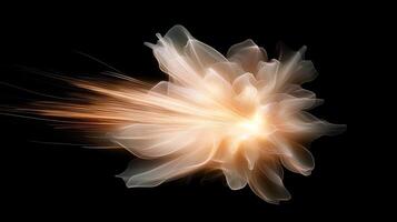 A flower with a bright light coming from it photo