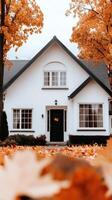 A house with autumn leaves on the ground photo
