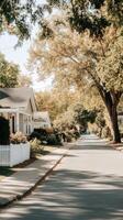 A street with houses and trees in the background photo