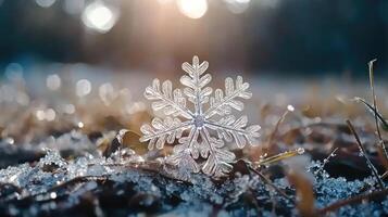 A snowflake sits on the ground in the sun photo
