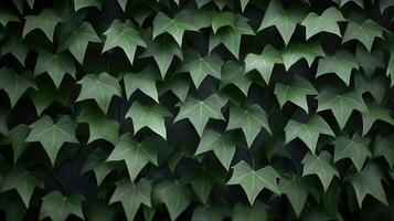 A green wall with many leaves on it photo