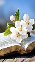 A flower on an open book photo