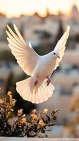 A white bird flying over a city photo