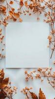 Autumn leaves and paper on white background photo
