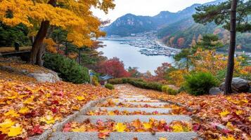 Autumn leaves on the stairs leading to a lake photo