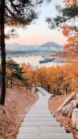 Steps leading to a lake in autumn photo