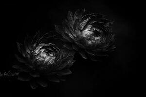 Monochrome flowers against a dark background. photo