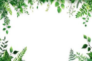 Green foliage border with a blank center for design use. photo