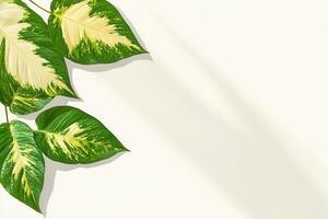 Green leaves with variegated patterns on a light background. photo